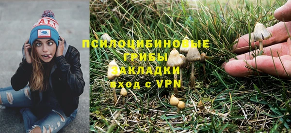 дживик Заволжск