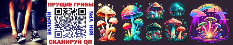 OMG зеркало Западная Двина Галлюциногенные грибы Cubensis